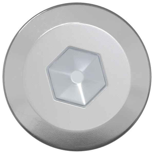 vidaXL Puidust Kruvid 2 pcs H&otilde;bedane M6 x 70 mm Teras