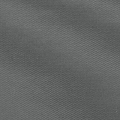 vidaXL lahtitõmmatav külgsein, antratsiithall, 120 x 1000 cm