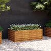 vidaXL aiapeenar 100 x 50 x 36 cm Corten terasest