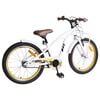 vidaXL Laste Bike 20 Tolli vanuses 6-11 aastat Valge