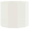 vidaXL Taimekast Valge 60 x 60 x 50 cm Teras