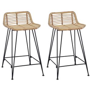 vidaXL Baaritool 2 pcs Naturaalne 44 x 45 x 76 cm Rattan ja teras
