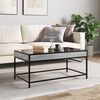 Toote pisipilt  4 / 13