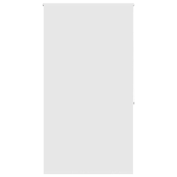 vidaXL duširull ruloo 120x240 cm kanga laius 116 cm