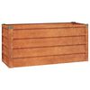 vidaXL taimekast, rooste, 100x40x45 cm, Corten-teras