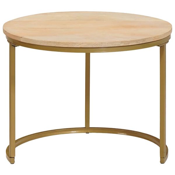 vidaXL Pesitsevad Kohvilaud 2 pcs Pruun T&ouml;&ouml;deldud mangopuit ja teras