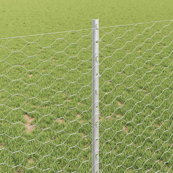 vidaXL Aed koos postiga H&otilde;bedane 1 x 50 m Teras