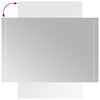 vidaXL LED vannitoapeegel, 60x90 cm