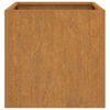 vidaXL taimekast, 62x30x29 cm, Corten teras