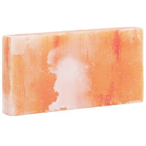 vidaXL Soolakivid 10 pcs Roosa 20 x 2,5 x 10 cm Soole kivi