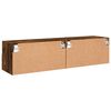vidaXL teleri seinakapid 2 tk, suitsutamm, 60 x 30 x 30 cm, tehispuit