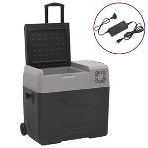 vidaXL rataste ja adapteriga jahutuskast, must ja hall, 40 l, PP