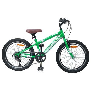 vidaXL M&auml;gi Bike 24 Tolli 6-Speed 8-12 aastastele Roheline