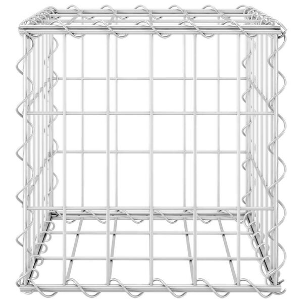 vidaXL kuubikukujuline gabioon-taimelava, teras 30 x 30 x 30 cm