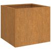 vidaXL taimekast, 2 tk, 49x47x46 cm, Corten teras
