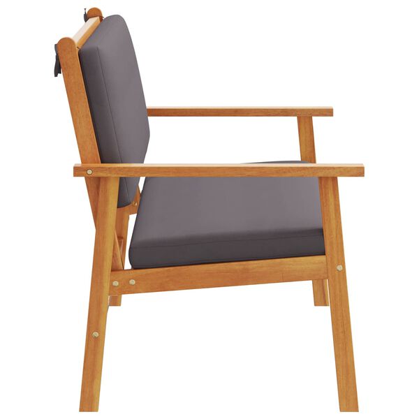 vidaXL Aiapink padjaga Antratsiit Tugev akatsiapuu