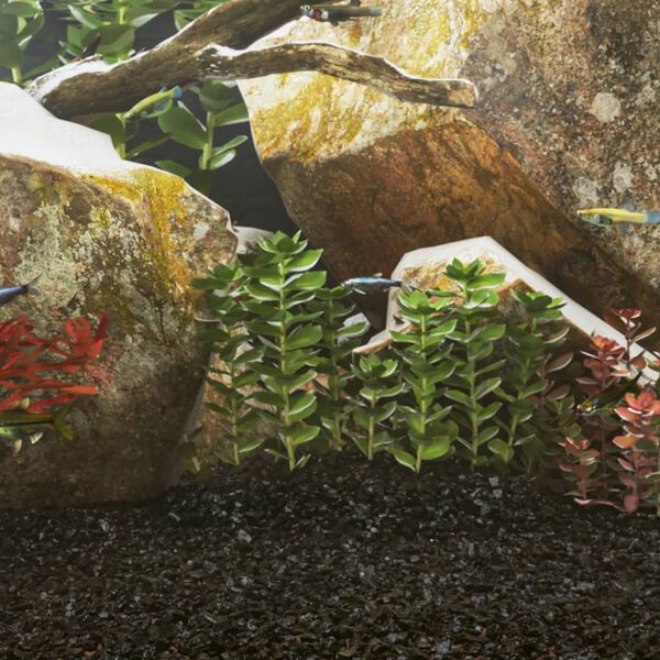 vidaXL akvaariumiliiv, 10 kg, must, 0,2-2 mm