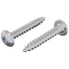vidaXL Puidust Kruvid 2 pcs H&otilde;bedane M4 x 25 mm Teras