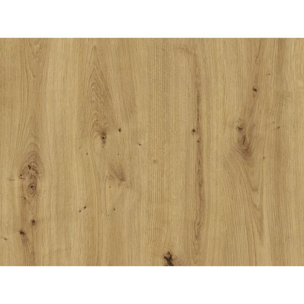 FMD seinariiul 8 sektsiooniga, kunsttamm