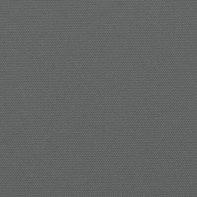 vidaXL lahtitõmmatav külgsein, antratsiithall, 100 x 1000 cm