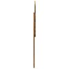 Toote pisipilt  5 / 11