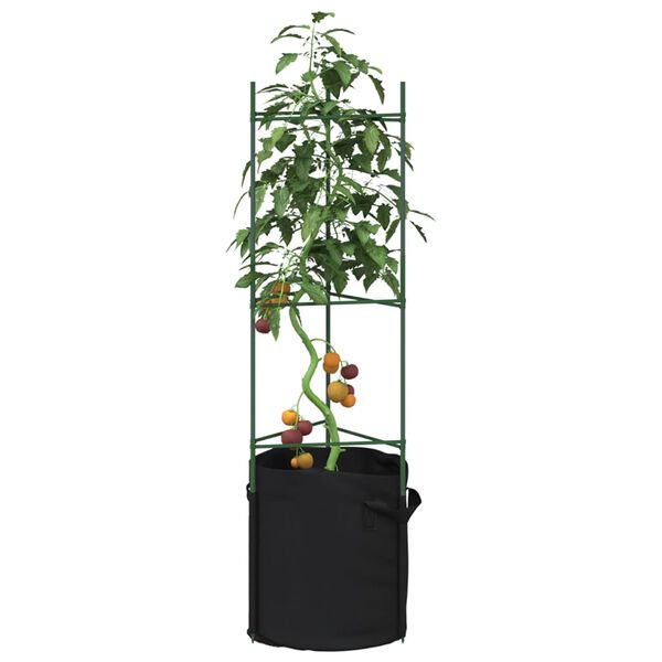 vidaXL tomatitaime tugi koos taimekotiga 2 tk, 116 cm, teras ja PP