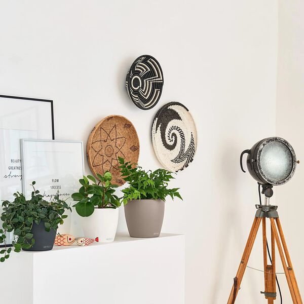 LECHUZA taimekast "CLASSICO Color 18 ALL-IN-ONE", kilt