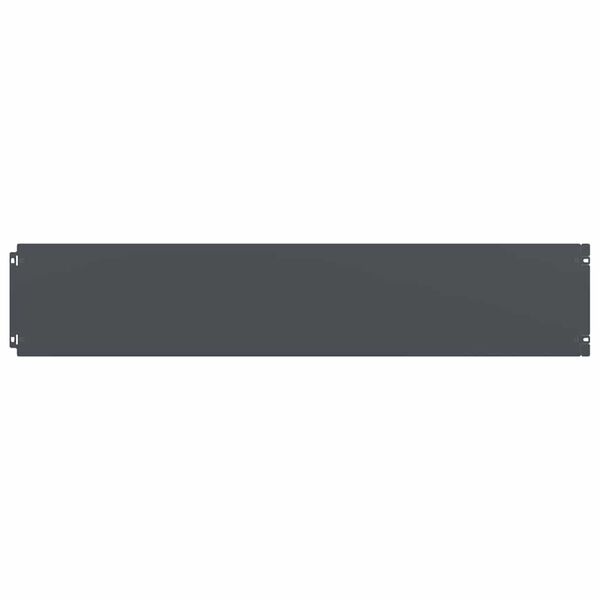 vidaXL muru&auml;&auml;red 10 tk antratsiit 20x103 cm k&uuml;lmvaltsitud teras