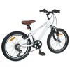 vidaXL Kids Mountain Bike 20 Tolli 6-Speed 5-8 aastastele Valge
