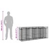vidaXL Gabioni t&otilde;stetud voodi 2 pcs H&otilde;bedane 200 x 50 x 80 cm