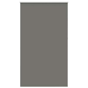 vidaXL pimendav ruloo hall 140x210 cm kanga laius 136,6 cm pol&uuml;ester