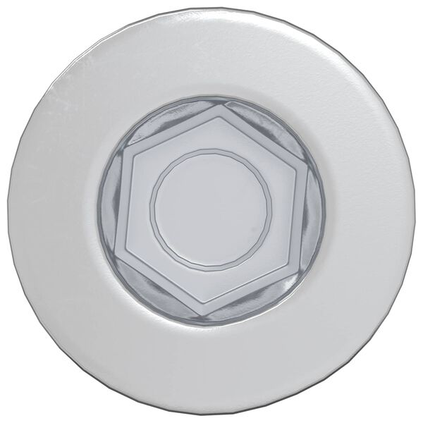 vidaXL Peapael Kruvi 2 pcs H&otilde;bedane M7 x 40 mm Teras