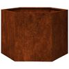 vidaXL taimekast, rooste, 60x60x45 cm, Corten teras