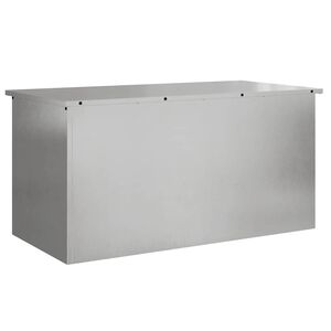 vidaXL Aia hoiukast padjade jaoks Teras 100 x 50,5 x 50 cm 220