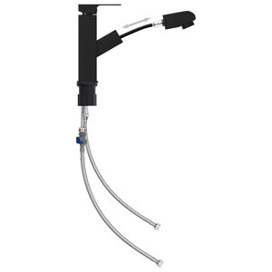 vidaXL vannitoakraan, väljatõmmatav, must, 157 x 172 mm