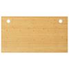 vidaXL kirjutuslaua plaat, 100 x 60 x 1,5 cm, bambus