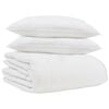 vidaXL Talve tek padjaga 3 pcs Valge Down Feather