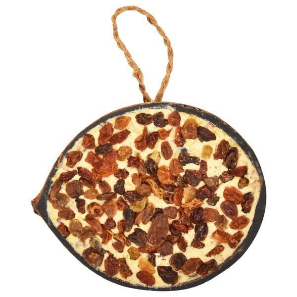 vidaXL linnutoiduga täidetud poolikud kookosed 10 tk, 290 g