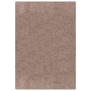 vidaXL Libisemisvastane Shaggy Vaip Pruun 80 x 150 cm PP