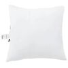vidaXL Padi padjaga 2 pcs Valge 60 x 60 x 20 cm Pol&uuml;ester