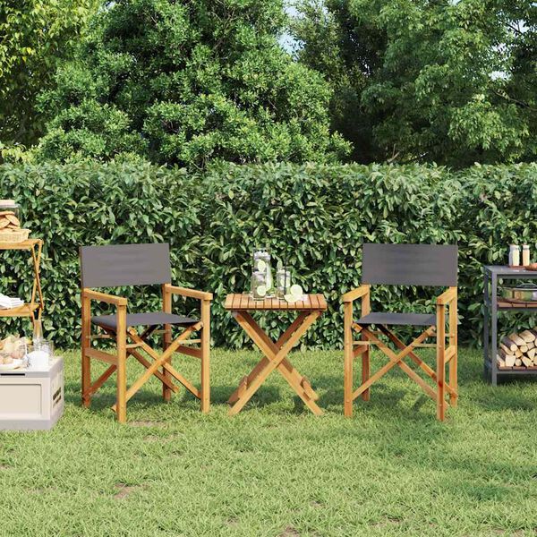 vidaXL kokkupandavad režiss&ouml;&ouml;ritoolid 2 tk, hall, tiikpuu