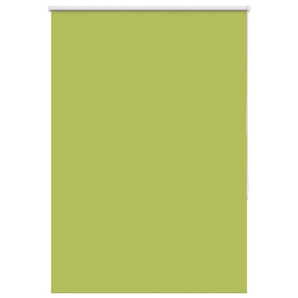 vidaXL Ruloo pimendav lehed rohelised 100x150 cm Kanga laius 95,7 cm