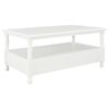 vidaXL kohvilaud, valge, 100 x 55 x 45 cm, puit