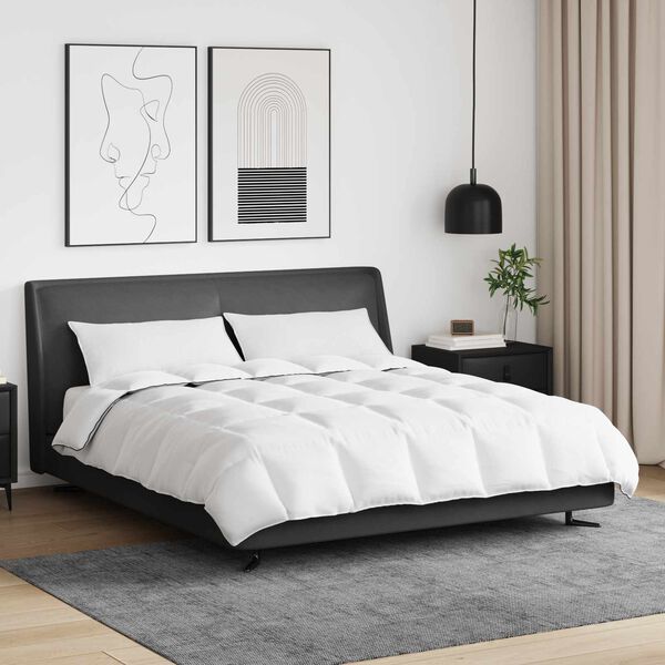 vidaXL Talve tek padjaga 3 pcs Valge Down Feather