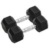 vidaXL hantlid 2 tk, 8 kg, t&auml;ismetallist
