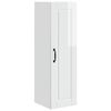 High_gloss_white