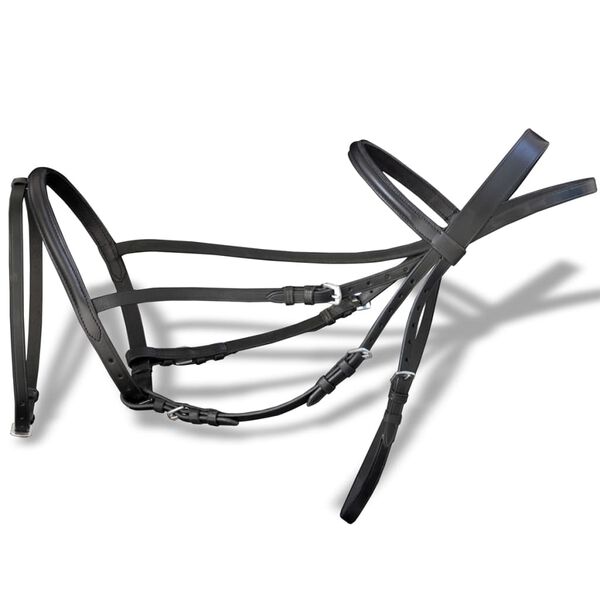 Nahast valjad, ratsmed ja suuline hobusele must