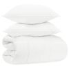vidaXL Tekikomplekt 200 x 200 cm Ei 250gsm tekile, 130gsm padjale