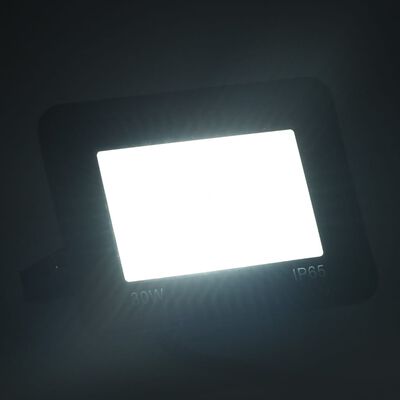 vidaXL LED prožektor, 30 W, külm valge