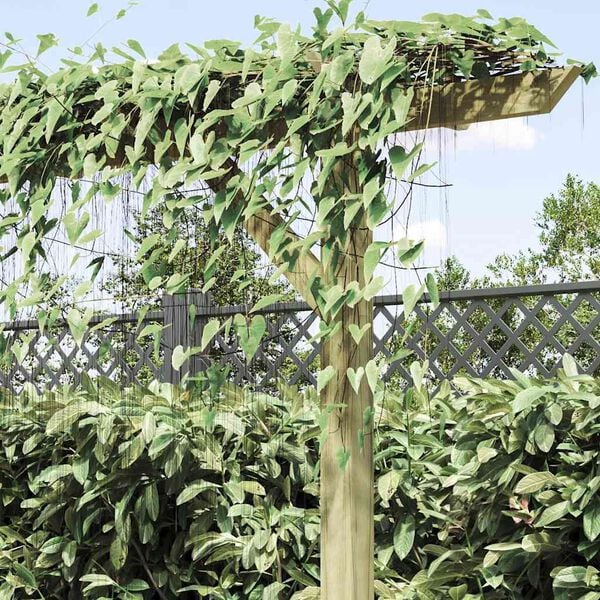 Kuvatakse tootepilt 4 / 11